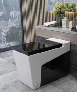 Bàn cầu điện tử 2